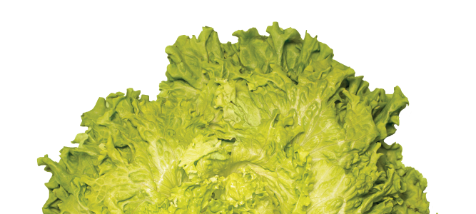 lettuce cooking classes